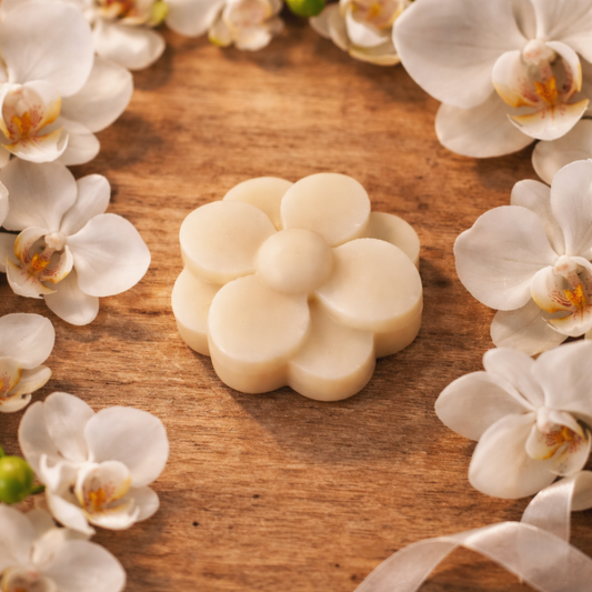Fondant Parfumé - Orchidée blanche
